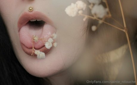 sainte nitouche schöne pornostar galerie