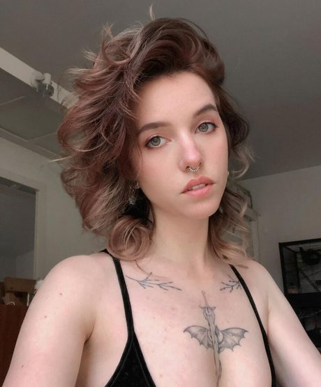 Xailurus porno kunst foto