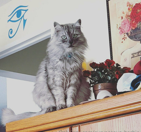 curvaceous barbie nackt schöne bilder