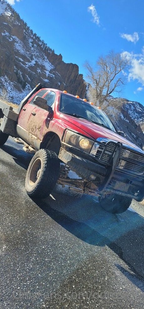 ddrose11 perfekte erotische bild