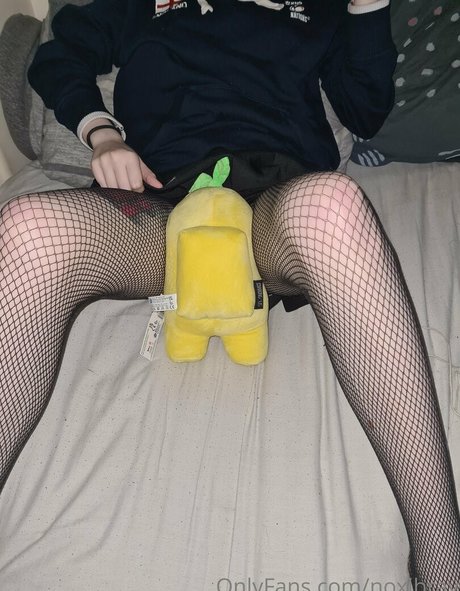 noxibray hübsche schöne fotos