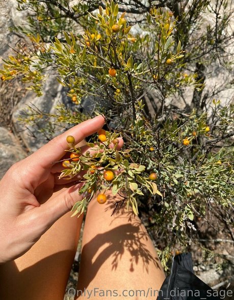 im diana sage kunst akt galerien