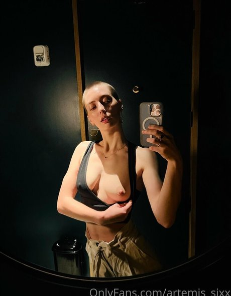 artemis sixx kunst pornografische bilder