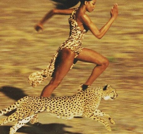 Gatina 22 freie schöne bilder