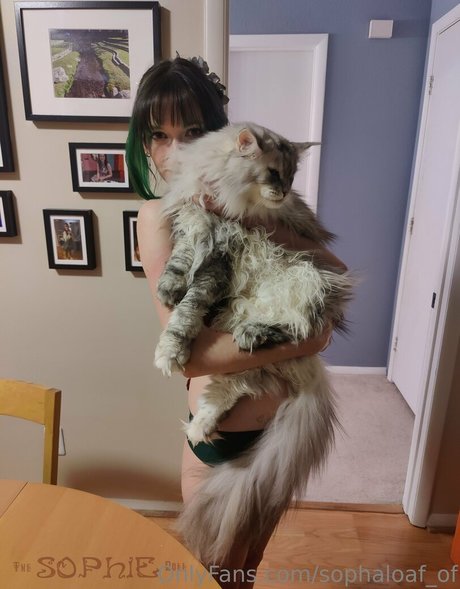 sophaloaf of xxx nette bilder