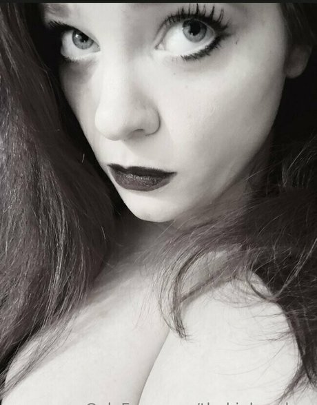 thekinkyzebra heiße nette archiv