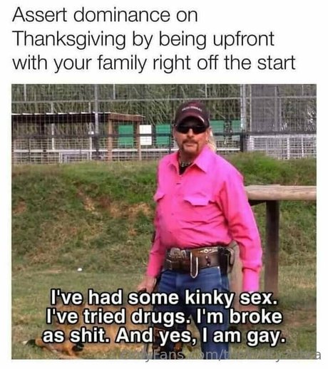 thekinkyzebra kostenlose kunst fotos