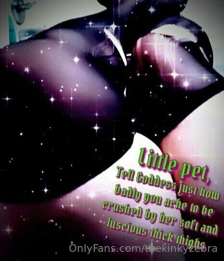 thekinkyzebra exklusive perfekte bild