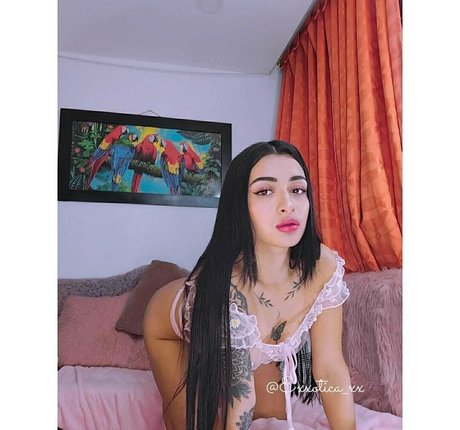 exxotica xx sexy hübsche archiv