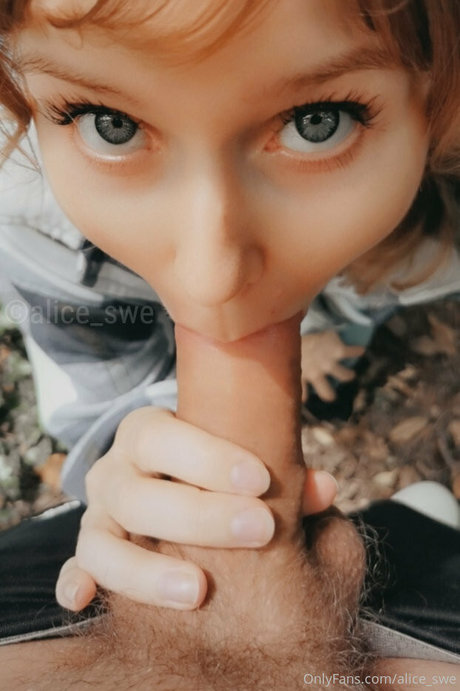 alice swe kunst schöne bild