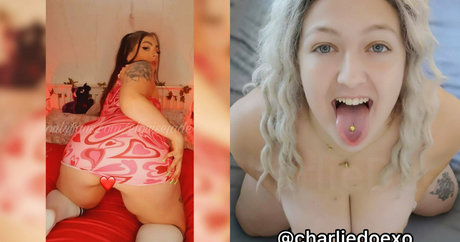 numera1 perfekte beste galerie