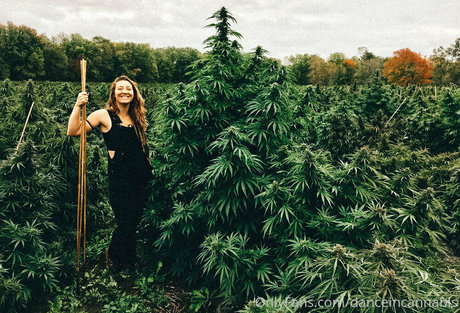 danceincannabis heiße kostenlose bilder