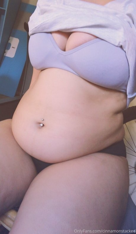 cinnamonstacked freie beste galerien