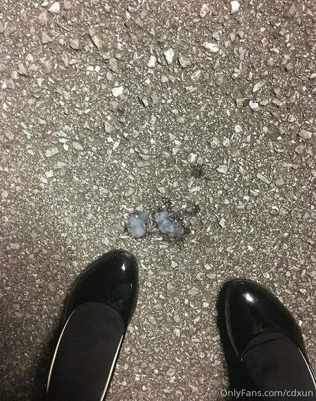 cdxun freie erotische bild