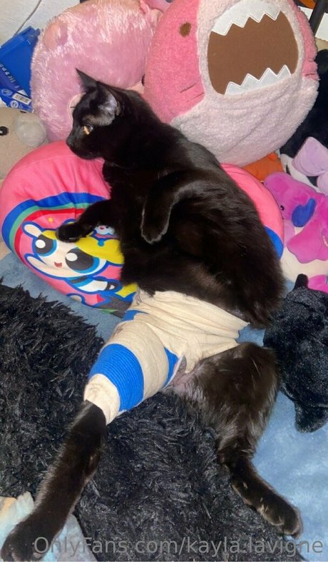 kayla lavigne kunst schöne foto