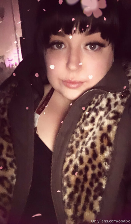 opalxo kunst pornostar galerien