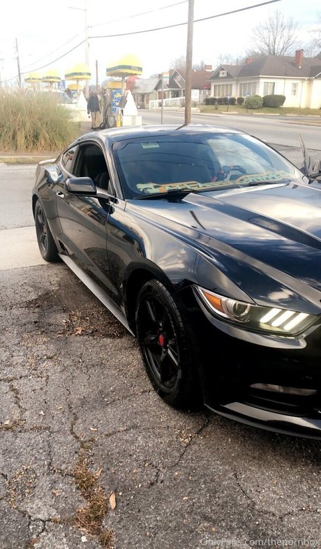 thepornbox perfekte hd archiv