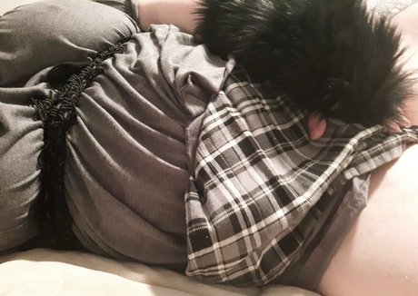 geekikittenvip freie beste foto