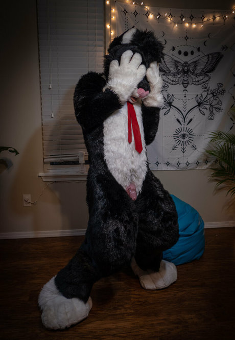 yiffykitty nackt nette bilder