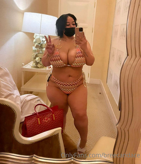 Breecandace beste kunst galerien