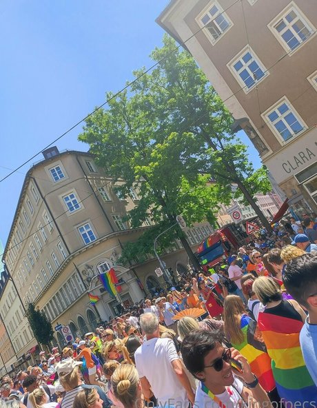 kingofpecs porno schöne galerie