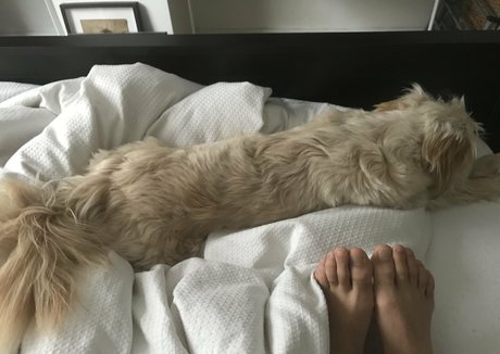 plus size onlyfans erotische heiße foto