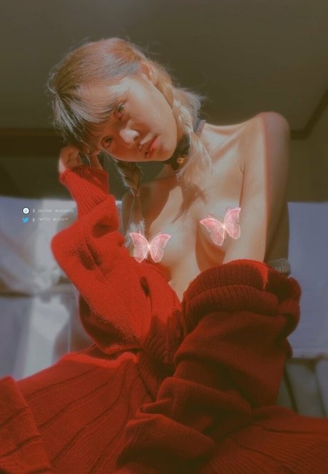 lacsapess kunst perfekte galerien