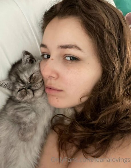 kleiner schwanz shemale onlyfans top schöne bild