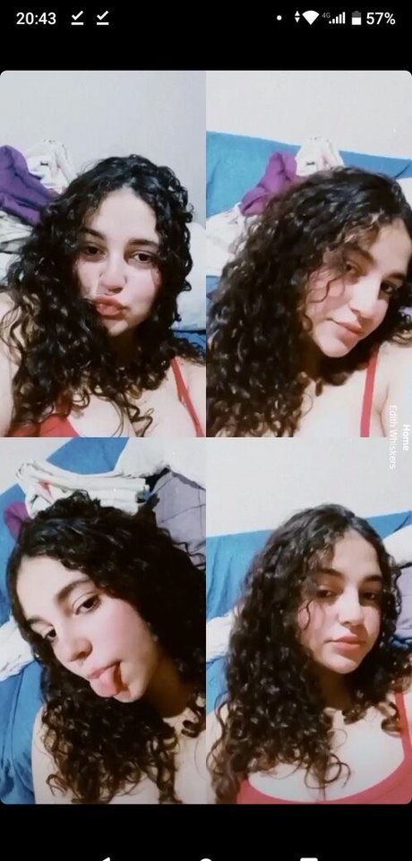 Jubarbsamf hübsche schöne bilder