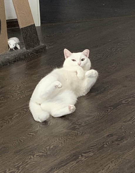 schwarze cosplay-onlyfans heiße schöne galerie