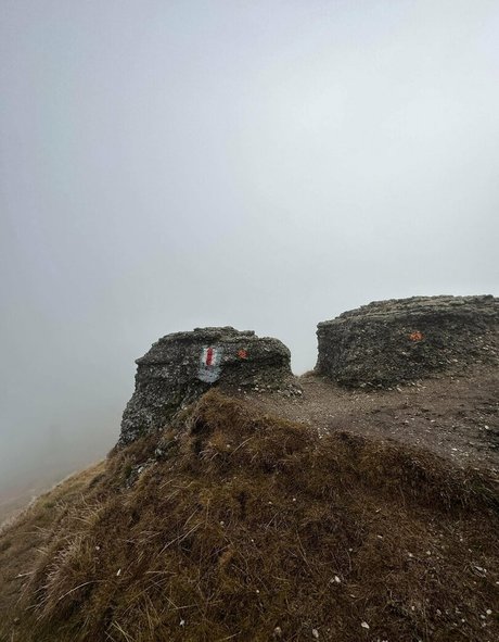 Anisyia_ top hübsche archiv