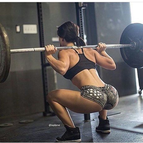 Taylor Vertucci freie bild