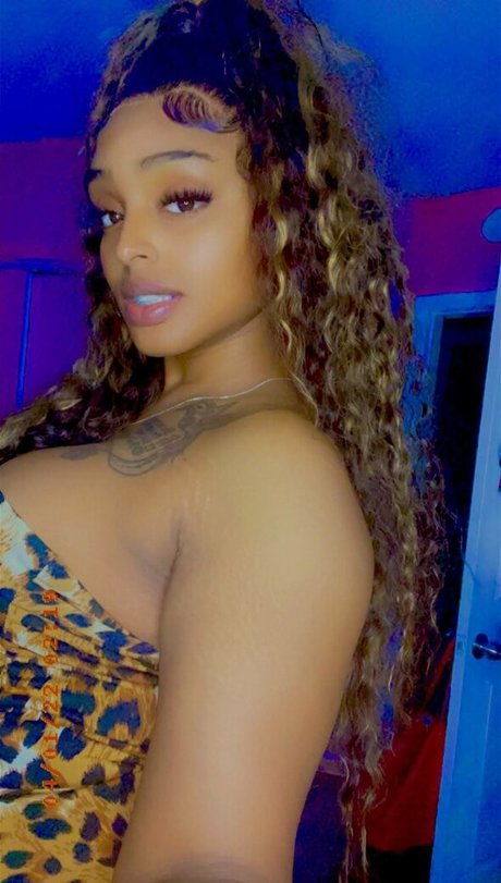 Mistress Kameel kunst perfekte bilder