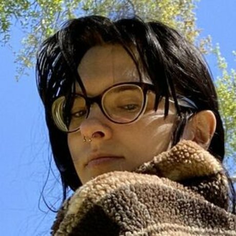 Echo Noir beste hübsche bilder