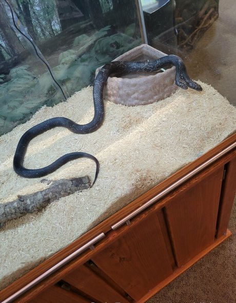 reifer blowjob nur fans xxx erotische galerien