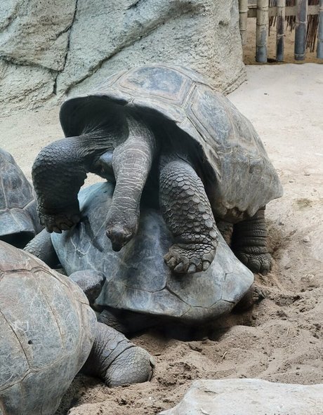 teenager nur fans kunst top galerie