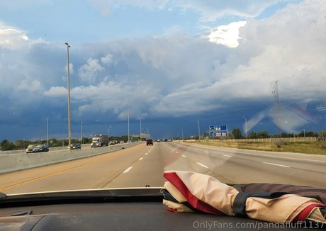 pandafluff1137 kunst nackten galerie