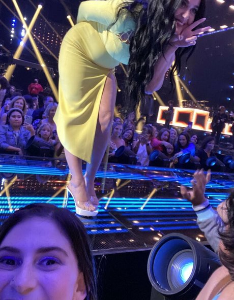 Katy Perry kunst perfekte bild