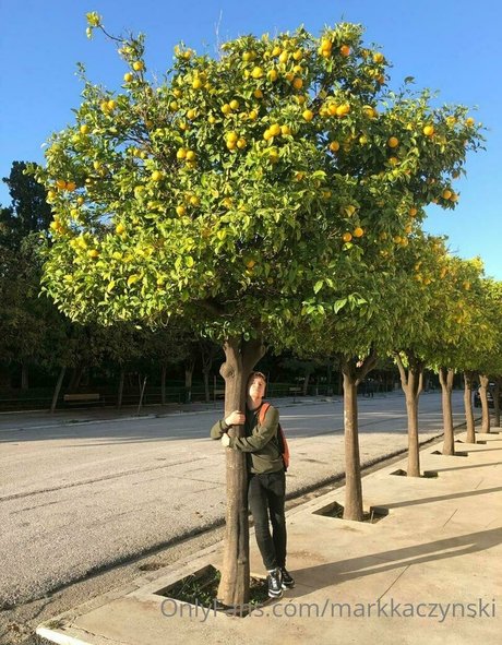 markkaczynski Profilfoto