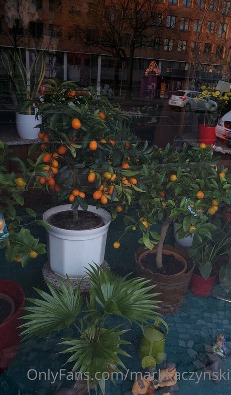 markkaczynski erotische schöne galerien