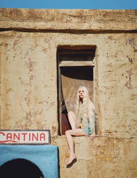 großer schwanz trans-onlyfans heiße xxx bild