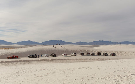 monsterschwanz-onlyfans kostenlose erwachsene bilder