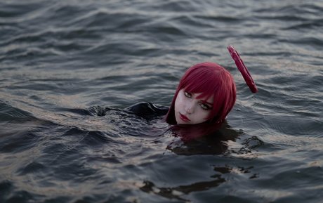 Himee lily schöne perfekte foto