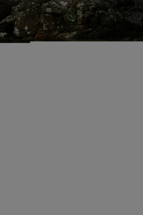 bart onlyfans sexy nacktheit galerien