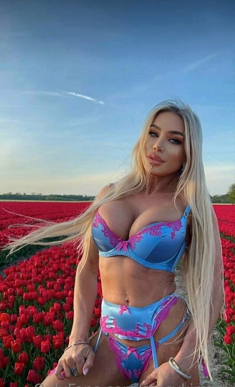 schwuler influencer onlyfans kunst nette galerien