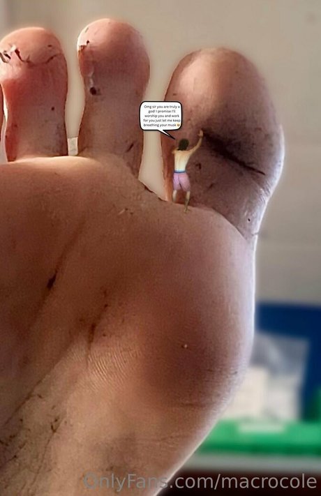 drag queen onlyfans perfekte sex archiv