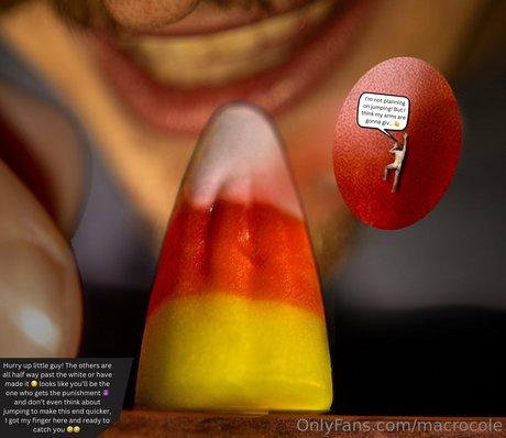 macrocole perfekte schöne galerien