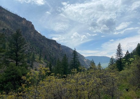 its kt kostenlose kunst archiv