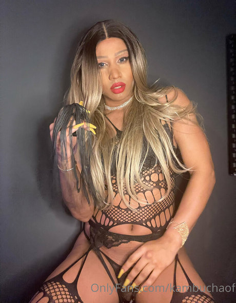 kambuchaof erwachsene freie bild