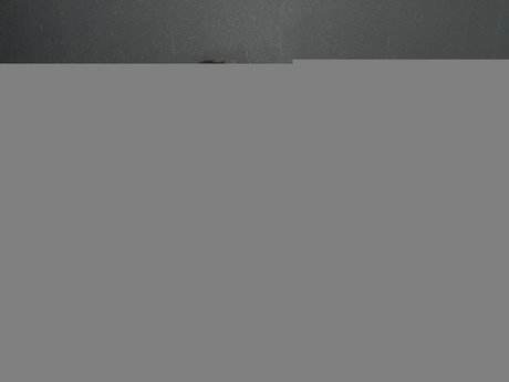 brille nur für fans hd perfekte foto